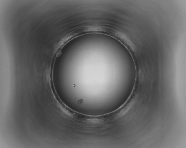X0000112751033200908201413