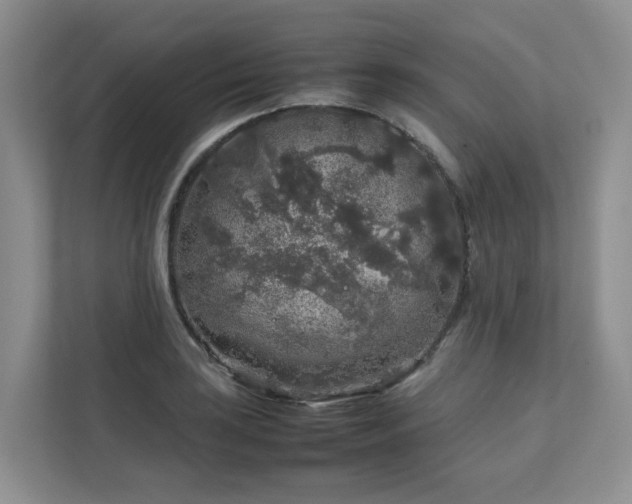 X0000112751035200908201413