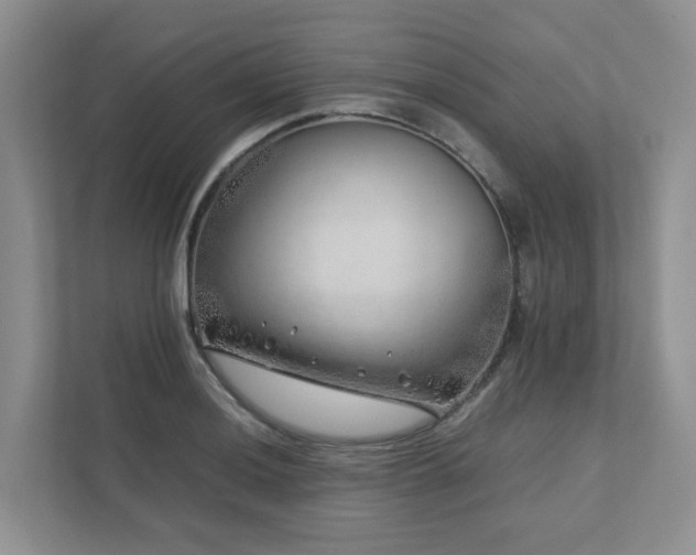 X0000112751036200908201413