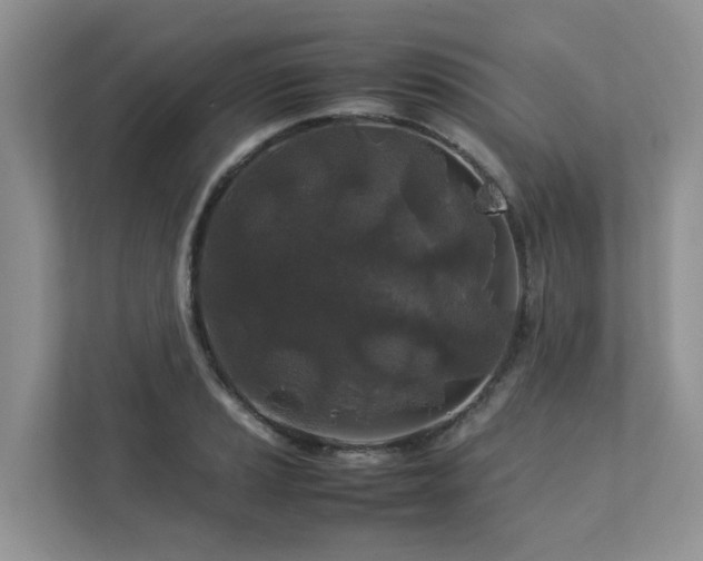 X0000112751037200908201413