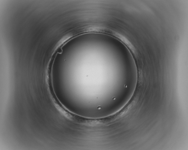 X0000112751042200908201413