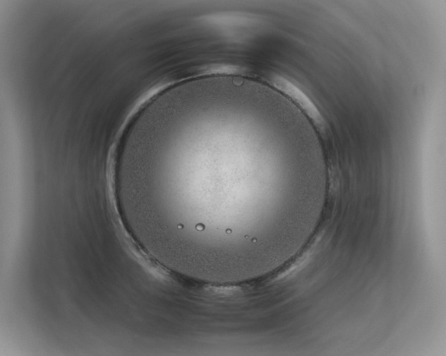 X0000112751043200908201413