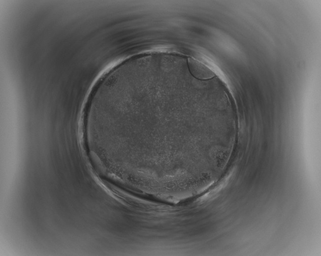 X0000112751045200908201413