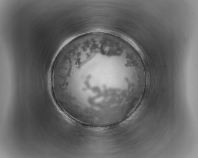 X0000112751048200908201413