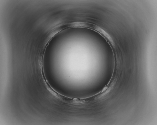 X0000112751049200908201413