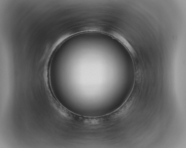 X0000112751051200908201413