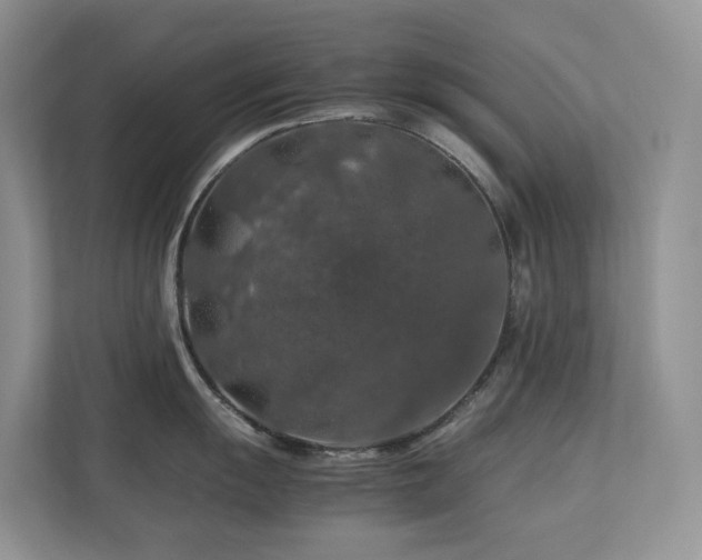 X0000112751055200908201413