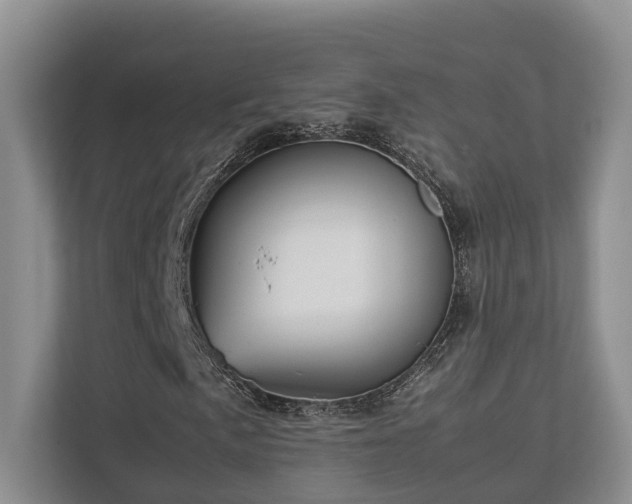 X0000112751057200908201413
