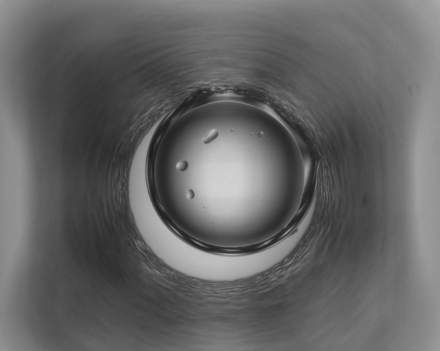 X0000112751060200908201413