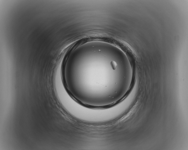 X0000112751065200908201413