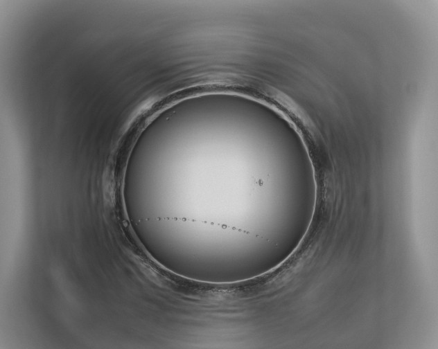 X0000112751067200908201413