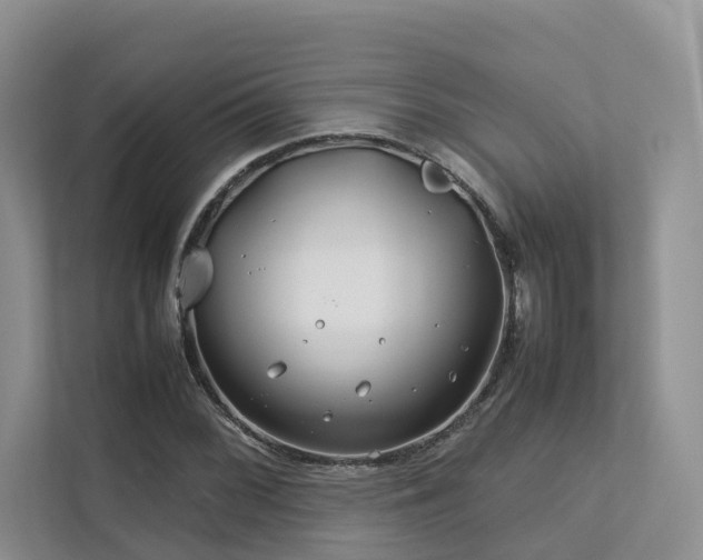 X0000112751068200908201413