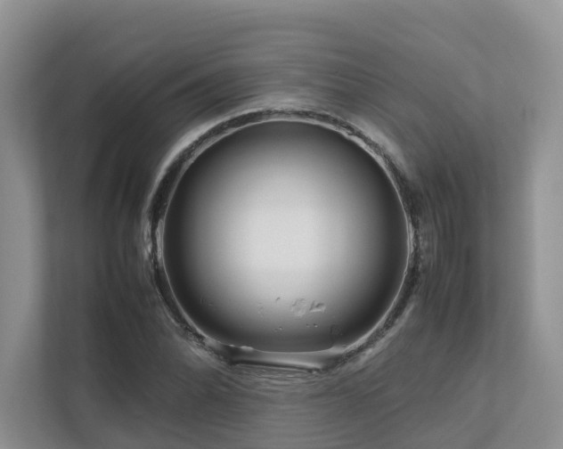 X0000112751070200908201413