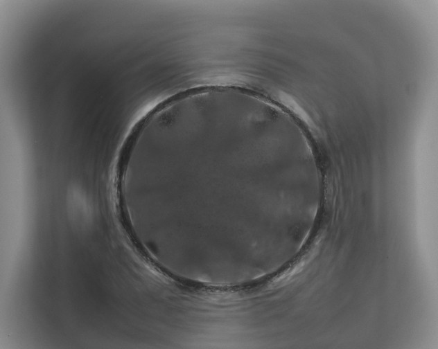 X0000112751071200908201413