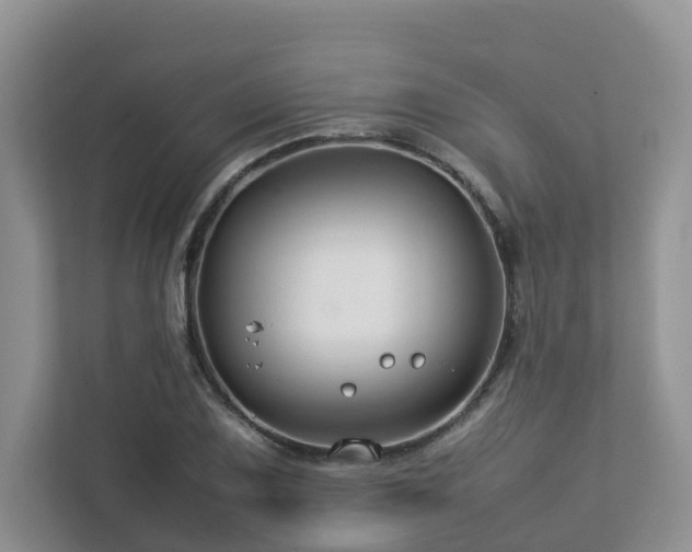 X0000112751075200908201413