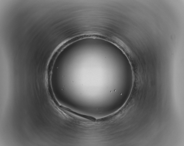X0000112751076200908201413