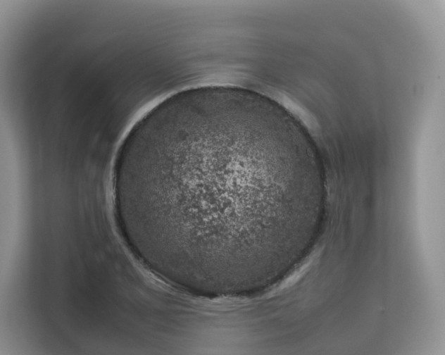 X0000112751077200908201413