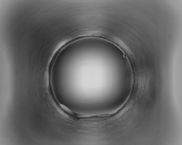 X0000112751079200908201412