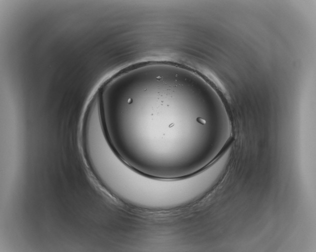 X0000112751080200908201412