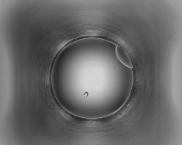 X0000112751081200908201412