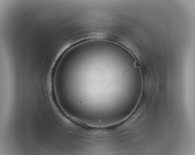 X0000112751083200908201412