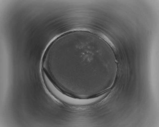 X0000112751084200908201412
