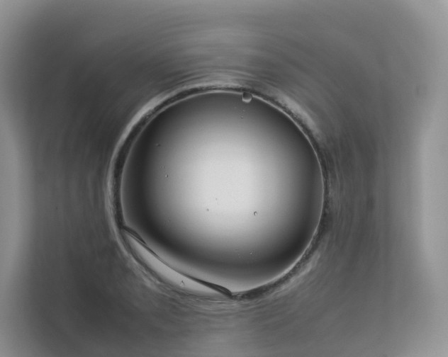 X0000112751085200908201412