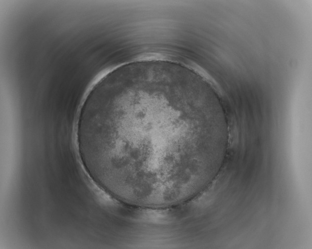 X0000112751086200908201412
