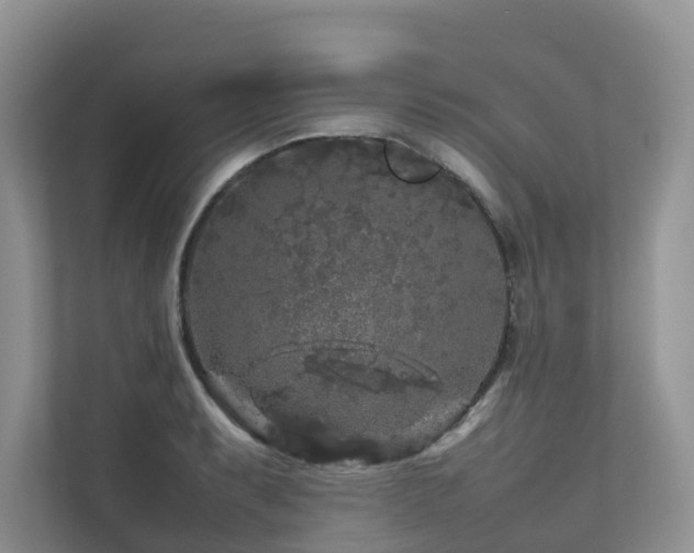 X0000112751087200908201412