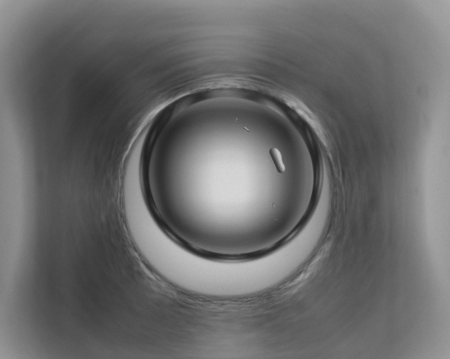 X0000112751089200908201412
