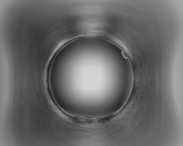 X0000112751091200908201412