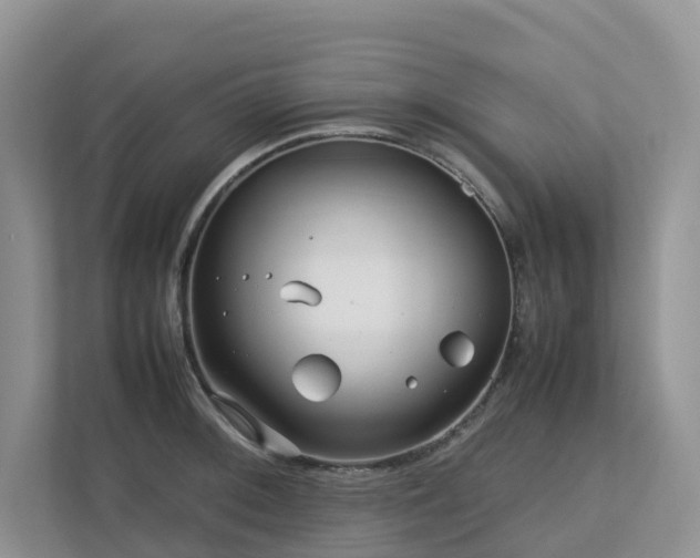X0000112751092200908201412