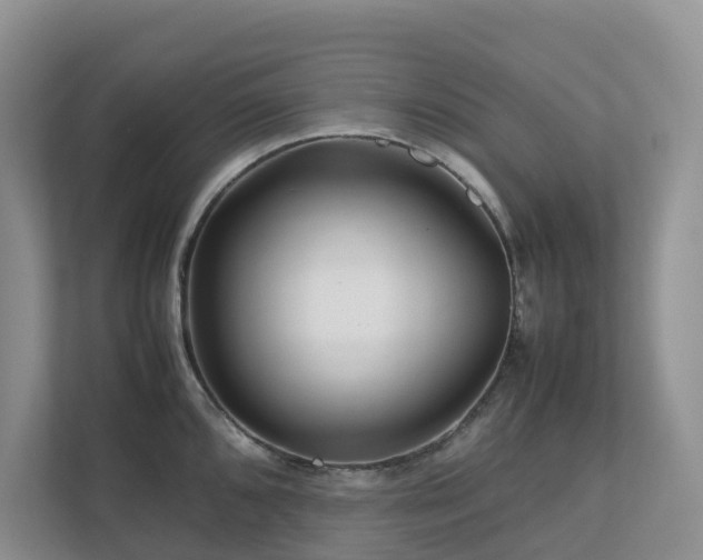 X0000112751096200908201412