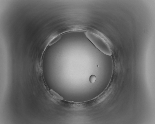 X0000112751097200908201412