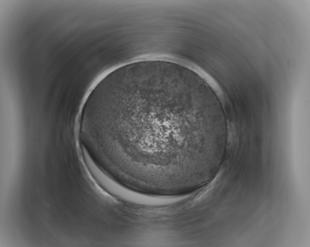 X0000112751102200908201412