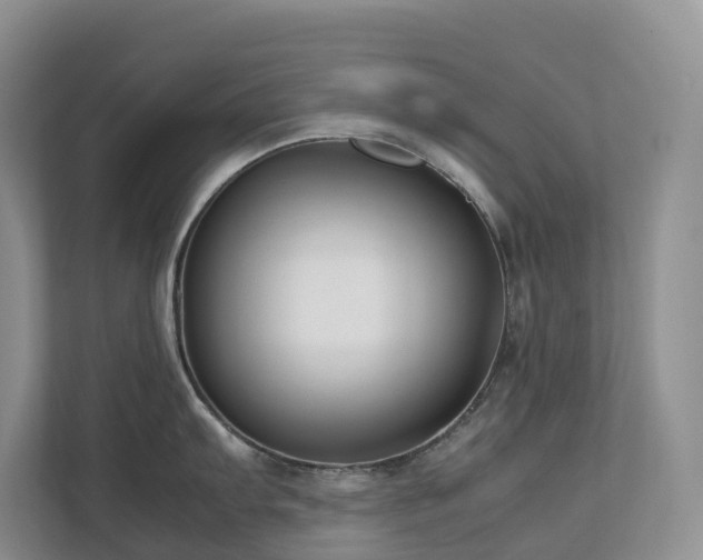 X0000112751103200908201412
