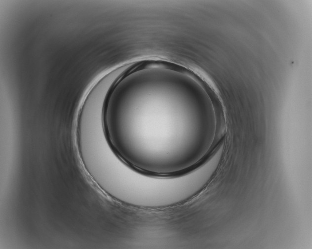 X0000112751104200908201412
