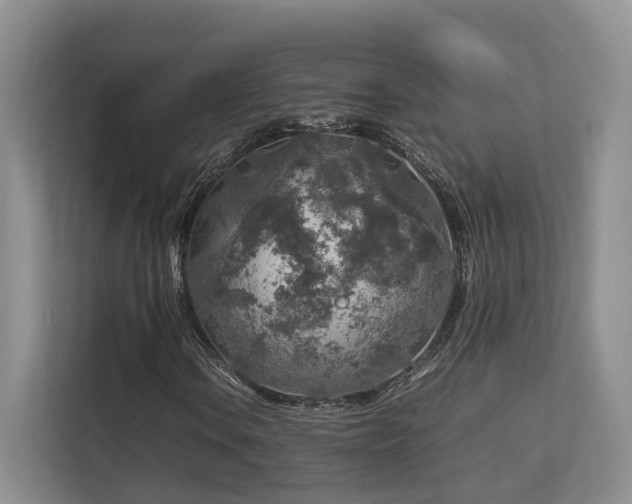 X0000112751106200908201411