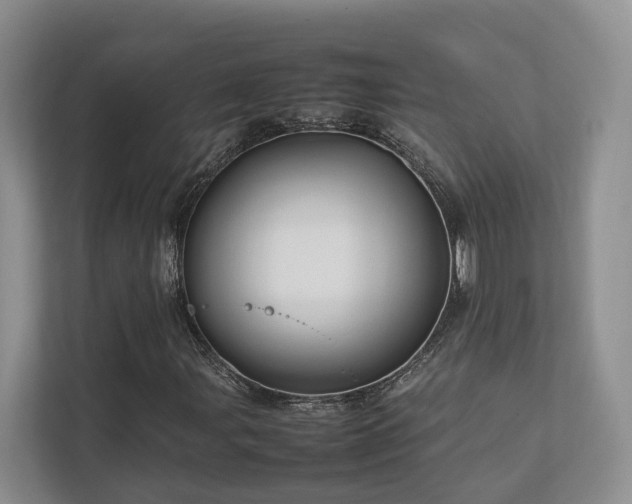 X0000112751107200908201411