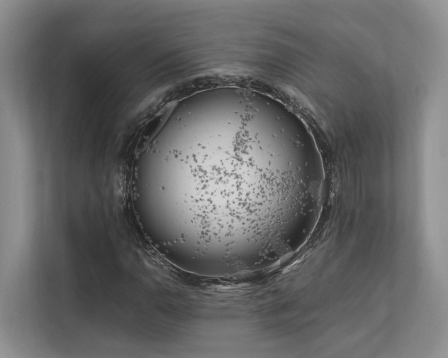 X0000112751110200908201411