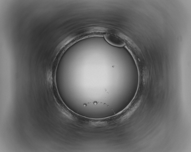 X0000112751113200908201412