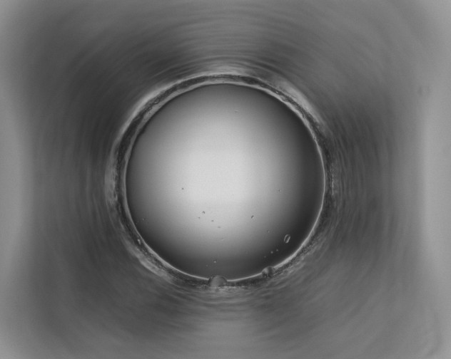 X0000112751116200908201412