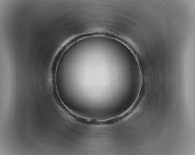 X0000112751118200908201412