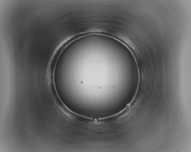 X0000112751119200908201412