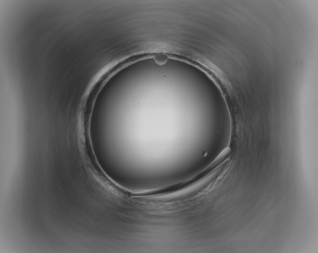X0000112751120200908201412