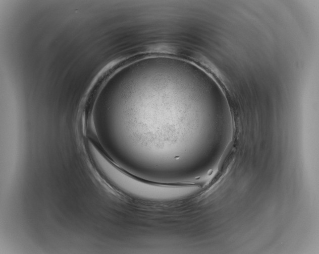 X0000112751123200908201412