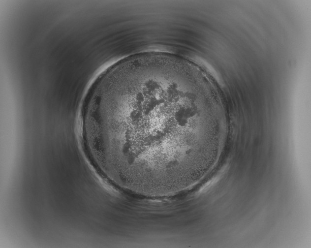 X0000112751125200908201412