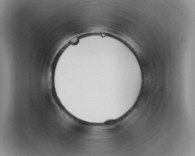 X0000112751126200908201412
