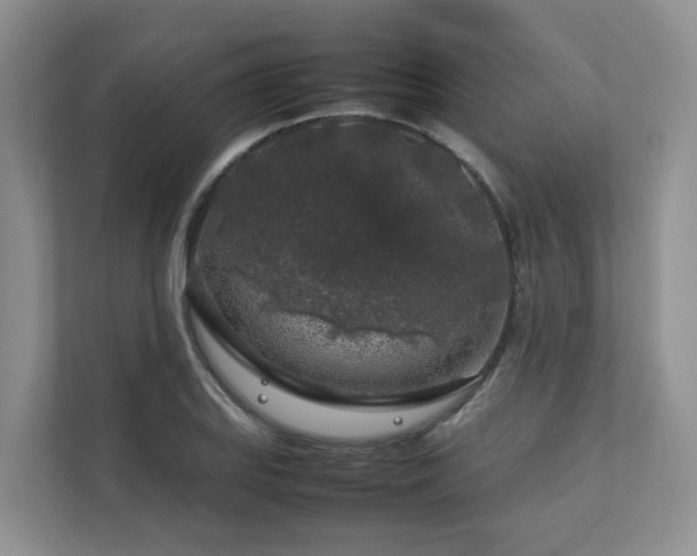 X0000112751127200908201412