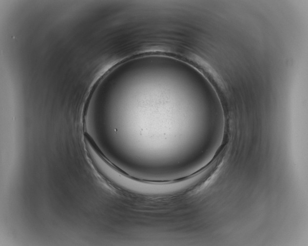 X0000112751129200908201412